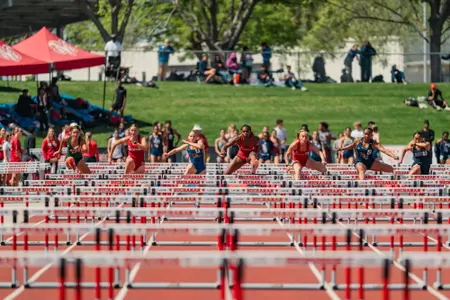 Outdoor hurdles