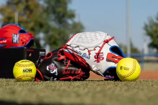 Softball Gloves