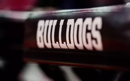 Bulldogs chair