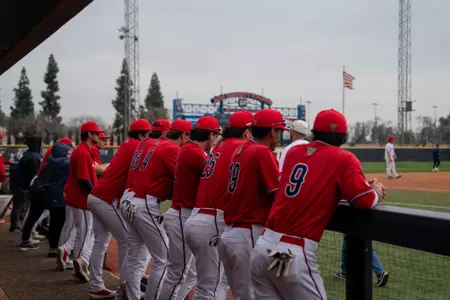 Dogs in the Dugout