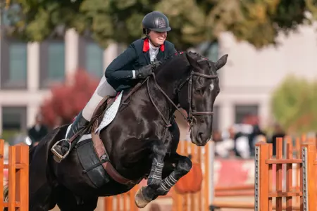 Olivia Ferro - Fences