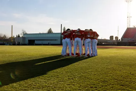 Baseball Huddle
