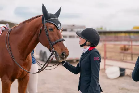 Equestrian