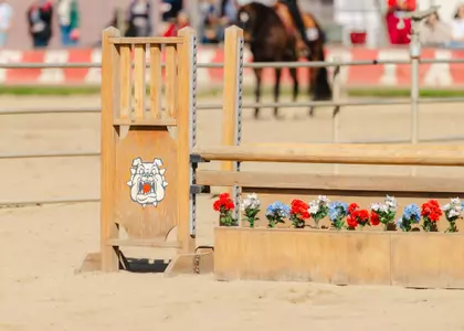 Fresno State Equestrian fences