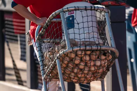 Bucket of Baseballs