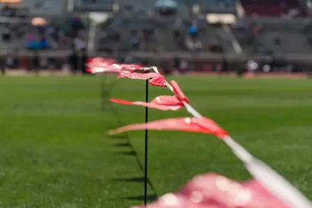track flags