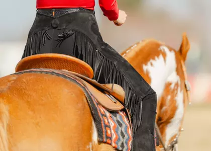 Generic Western Rider