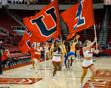 bulldog flags