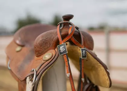 Fresno State saddle