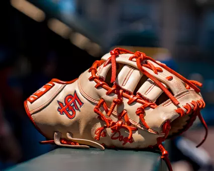Fresno State baseball glove