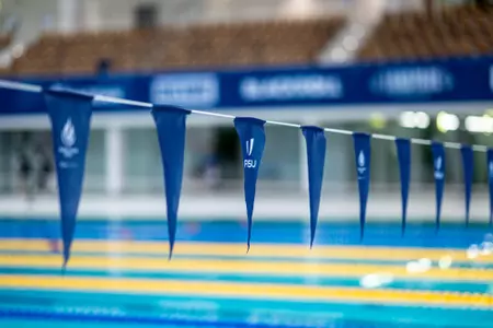 World University Games