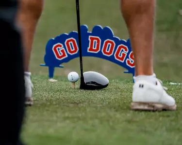Golf tee off