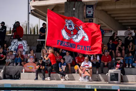 Fresno State flag