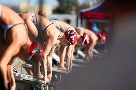 bulldogs diving blocks