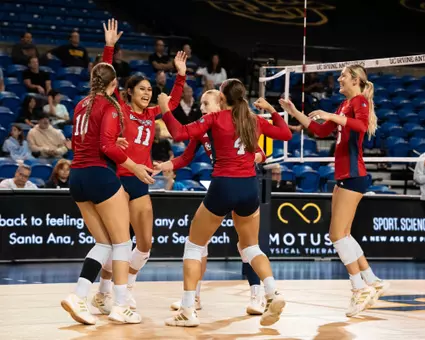 Volleyball Celebration