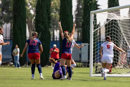 Goal celebration