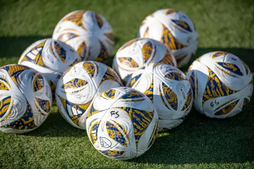Soccer Balls