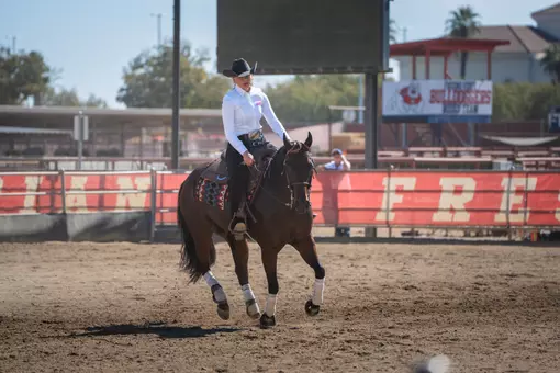 Reining