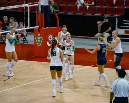 Volleyball Celebration