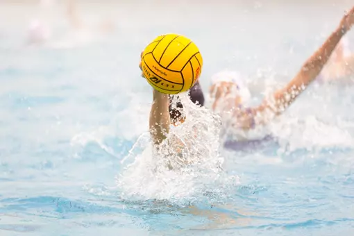 water polo ball