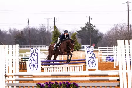 Sage Lindvall fences