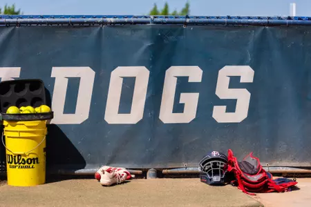 Softball 'Dogs banner