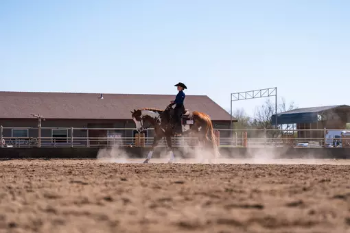 Horsemanship rider