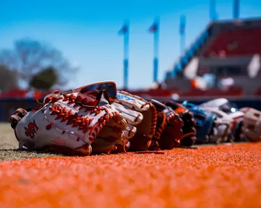 softball gloves