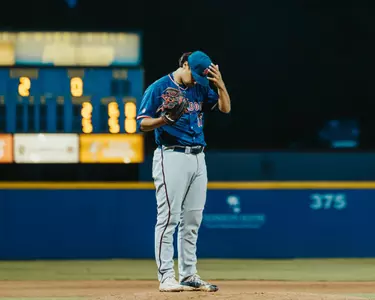 moose on the mound