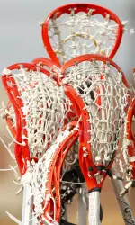 Ten new Cardinals inked NLIs.