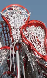 Cardinals will host seven home games.