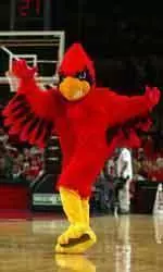 Cardinal Athletics will host an Egg Hunt, Saturday, March 27 at 10:30 a.m. at Cardinal Park