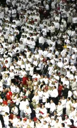 Cardinal fans have had great participation in past.