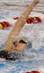 The Cards also have an Alumni Meet tomorrow.