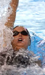 Krissie Brandenburg