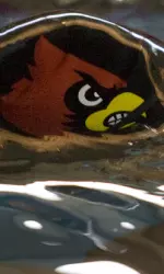 Todd Owen is a native Louisvillian and a Ballard graduate.