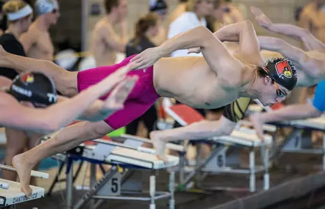 Louisville Swimming & Diving | Cardinal Invitational