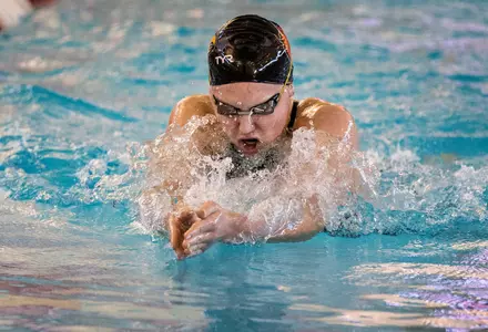 Louisville Swimming & Diving | Cardinal Invitational