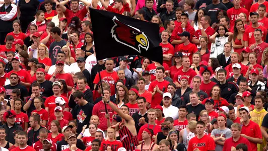 football crowd with flags