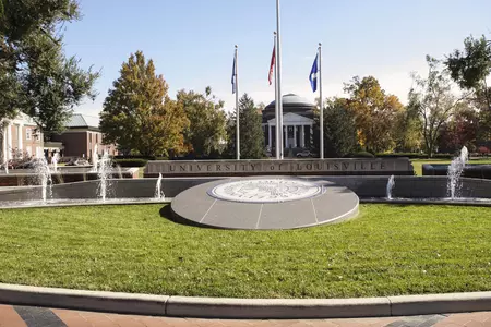 university