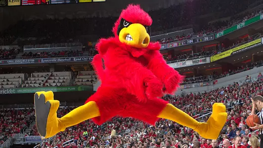 Cardinal Bird jump