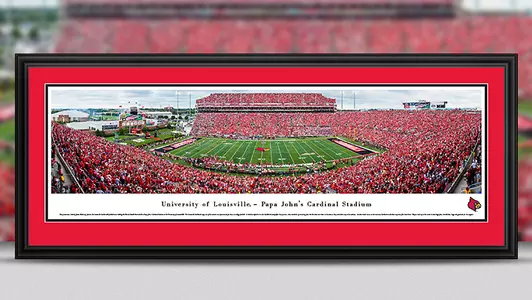 Panorama print from Florida State football game