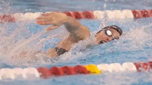 Mallory Comerford races the 100 freestyle at the Ralph Wright Natatorium.