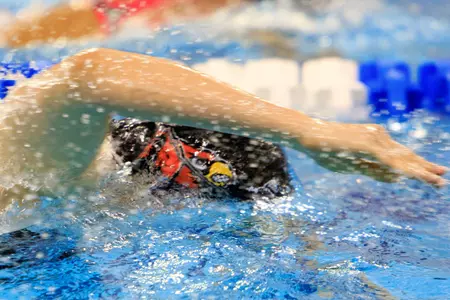 Swimming NCAA