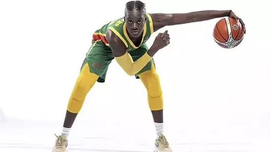 Yacine Diop Louisville Women's Basketball