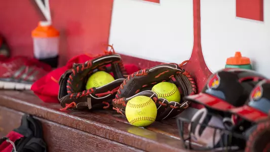 Stock, Gloves, Softballs, balls