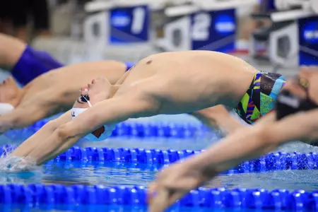 Nick Albiero dives into the pool for the 100 backstroke at NCAAs.