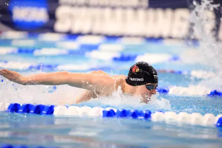 Zach Harting swims the butterfly leg of the 400 medley relay at the NCAA Championships.