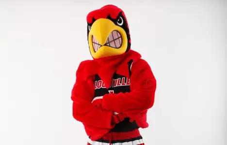 Louie posing. | Compliance