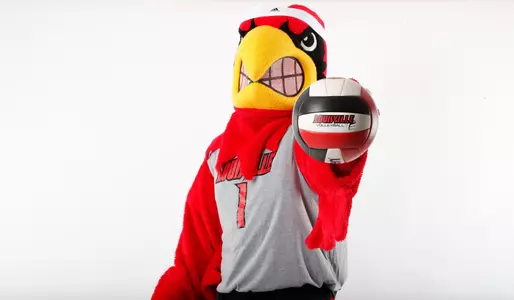 Louie Practice - Compliance